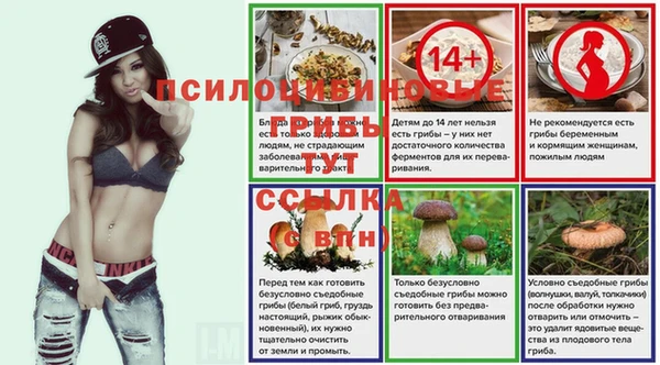 бутират Богданович