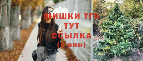 Альфа ПВП Богородск