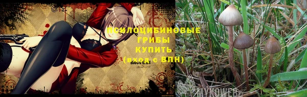 бутират Богданович