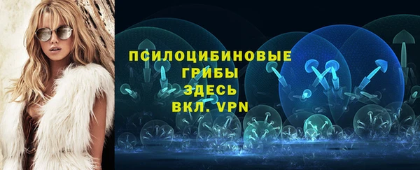 бутират Богданович