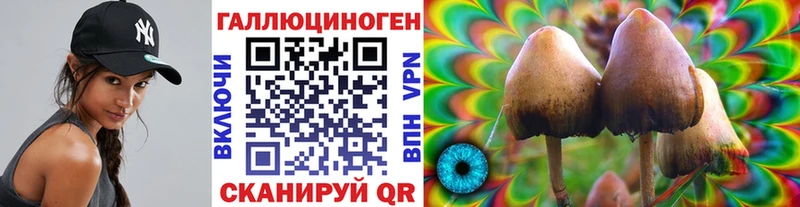Купить закладки  Железноводск  Галлюциногенные грибы MAGIC MUSHROOMS 